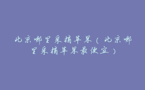 北京哪里采摘苹果(北京哪里采摘苹果最便宜)