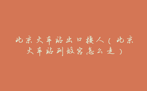 北京火车站出口接人(北京火车站到故宫怎么走)
